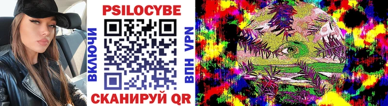 Галлюциногенные грибы Cubensis Никольское
